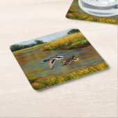 池の上飛んでいるのアヒル スクエアペーパーコースター (アングル)