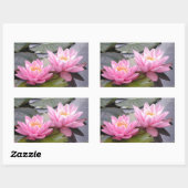 池の中に二つの野生のピンクの《植物》スイレン 長方形シール (シート)