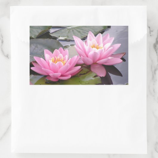 池の中に二つの野生のピンクの《植物》スイレン 長方形シール (バッグ)