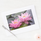 池の中に二つの野生のピンクの《植物》スイレン 長方形シール (封筒)