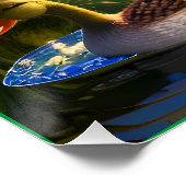 池の中のアヒル ポスター (コーナー)