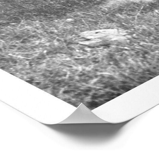 池の中のカウボーイと馬 ポスター (角)