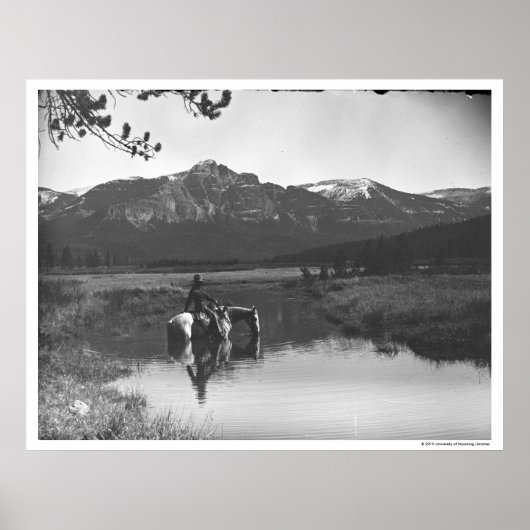 池の中のカウボーイと馬 ポスター (正面)