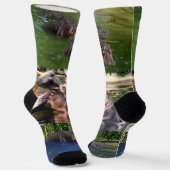 池の中のカバ、クルーソックス ソックス (傾斜あり)