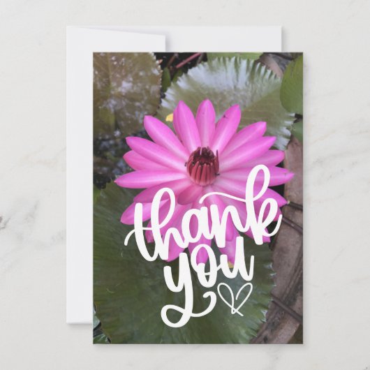 池の中のピンクの蓮のサンキューカード サンキューカード (正面)