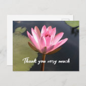池の中のピンクの蓮のサンキューカード ポストカード (正面/裏面)