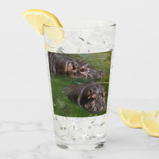 池の中の二頭のカバ、グラスを飲む タンブラーグラス (アイス正面)