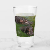 池の中の二頭のカバ、グラスを飲む タンブラーグラス (正面)