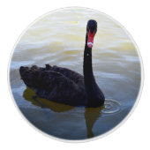 池の中の黒い白鳥の水滴 セラミックノブ (正面)