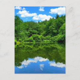池の反射 ポストカード