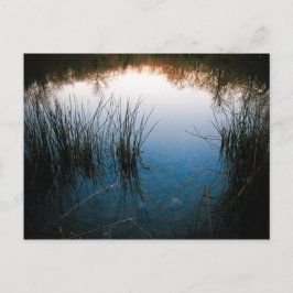 池の反射 ポストカード