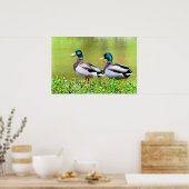 池の土手のマガール ポスター (キッチン)