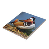 池の土手の雄ミカン タイル (側面)