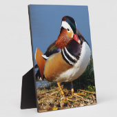 池の土手の雄ミカン フォトプラーク (側面)