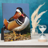 池の土手の雄ミカン フォトプラーク (側面)