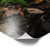 池の太陽の光 フォトプリント            (角)