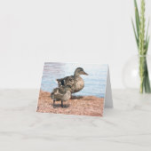 池の小さなアヒル カード (正面)