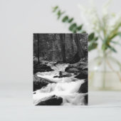 池の操業入り江 ポストカード (スタンド正面)