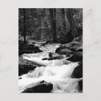 池の操業入り江 ポストカード