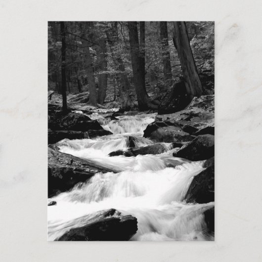 池の操業入り江 ポストカード (正面)