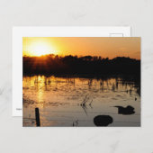 池の日没 ポストカード (正面/裏面)