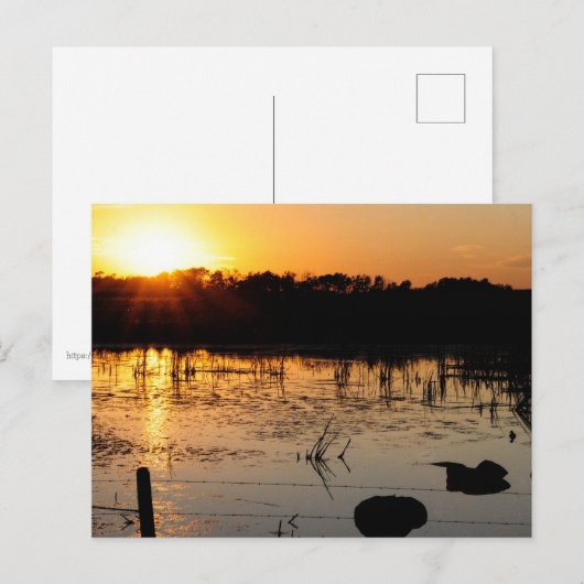 池の日没 ポストカード (正面/裏面)