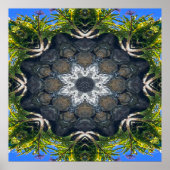 池の星….. ポスター (正面)