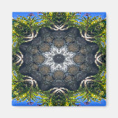 池の星…... マグネット (正面)