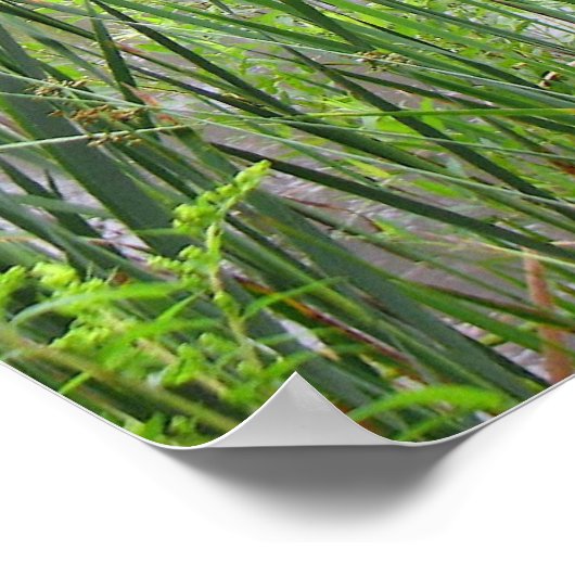 池の朝霧 ポスター (角)