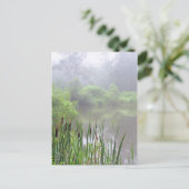 池の朝霧 ポストカード (スタンド正面)