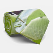 池の木のアヒル ネクタイ (ロール)