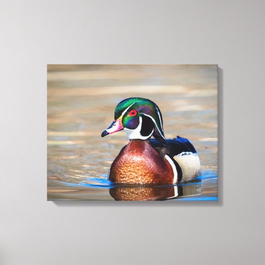池の木の鴨 キャンバスプリント (正面)