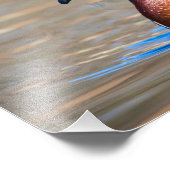 池の木の鴨 フォトプリント            (角)