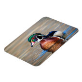 池の木の鴨 マグネット (左側)