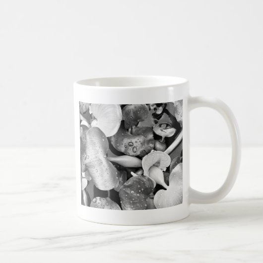 池の植物と白黒 コーヒーマグカップ (右)