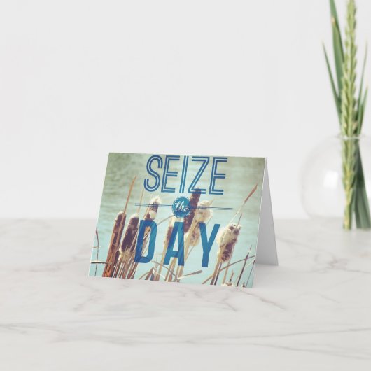 池の植物，昼をふさぐ カード (正面)