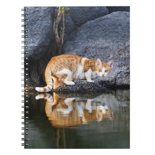 池の水に映る猫おもしろいの写真 – ノートブック (正面)