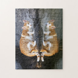 池の水に猫の反射，ゲーム ジグソーパズル