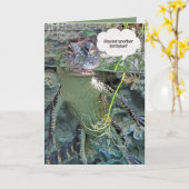 池の水の誕生日ユーモアのアリゲーター カード (黄色い花)