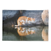 池の水写真での猫の反射 –  枕カバー (裏面)