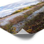 池の沼地と野生生物保護林 ポスター (角)