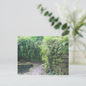 池の洞窟 ポストカード (スタンド正面)