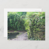 池の洞窟 ポストカード (正面/裏面)