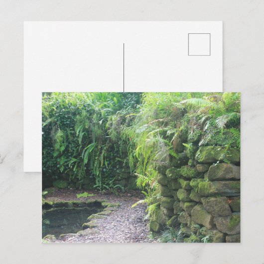 池の洞窟 ポストカード (正面/裏面)