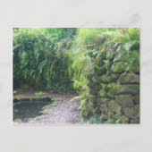 池の洞窟 ポストカード (正面)