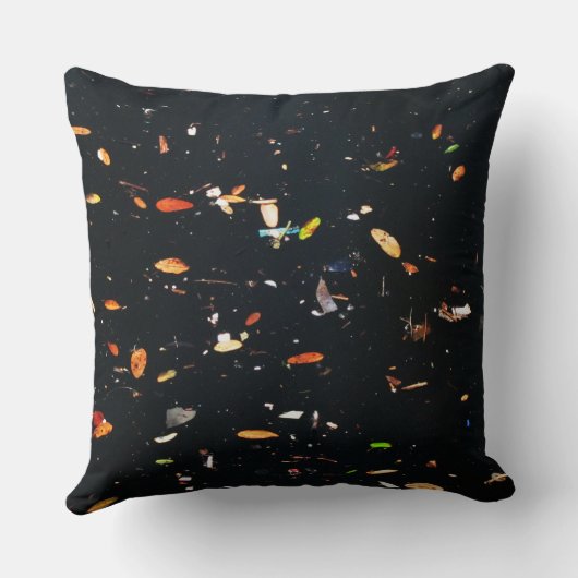 池の生活 クッション (裏面)