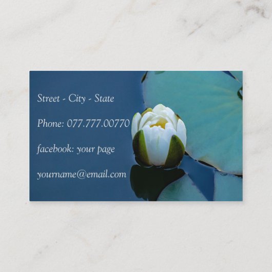 池の白い睡蓮 名刺 (裏面)