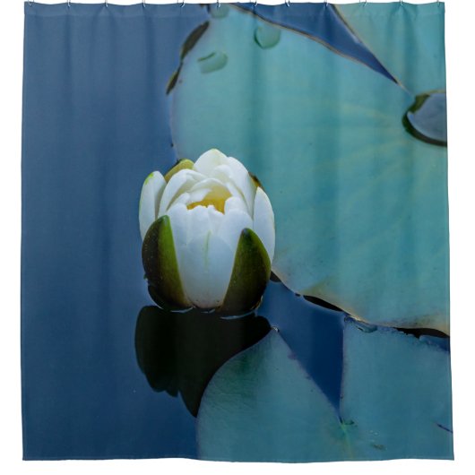 池の白い睡蓮、自然写真 シャワーカーテン (正面)