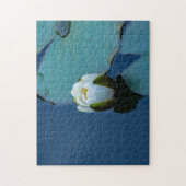 池の白い睡蓮、自然写真 ジグソーパズル (縦)