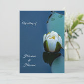 池の白い睡蓮、自然写真 招待状 (スタンド正面)